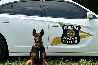 K9 Daisy Suited Up: Indiana State Police Pup Gets Lifesaving Armor!