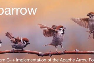 Photography of four sparrows on a branch. Caption is “Sparrow: Modern C++ implementation of the Apache Arrow Format”.