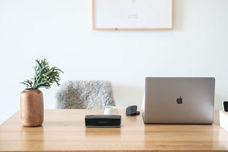 laptop, speaking, plant on wooden desk, home office