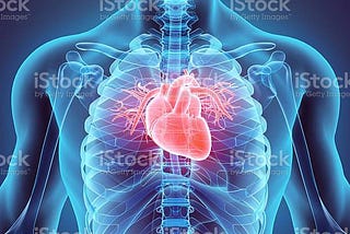 A thorough understanding of the cardiovascular system (CVS)