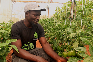 He Dropped His Degree To Set-Up a Green Farm in Jos, Nigeria