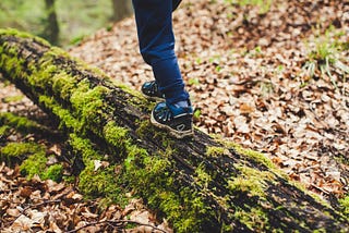 A child is walking on a mossy log in a forest.