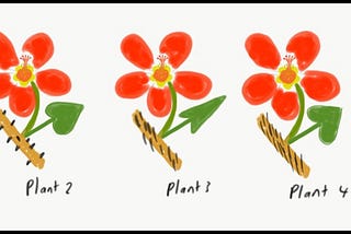 A key to creating plant identification keys