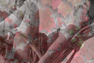 All Realities Are the Dream of the One Source/God/Absolute