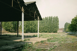 Een stem voor plant en dier op de Arsenaalsite