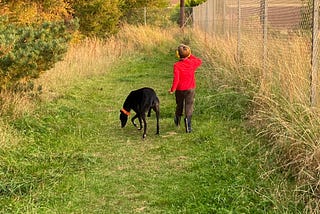 My nephew walks Harry, our dog, in one of 2020’s brief highlights.