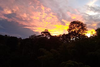 The Steady Rhythms of Life in the Colombian Andes