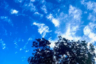 A brilliant blue sky with wispy white clouds and a silhouette of a tree on the bottom right