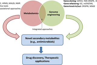 Can the Gut Microbiota of Animals living in polluted environments help us combat Cancer?