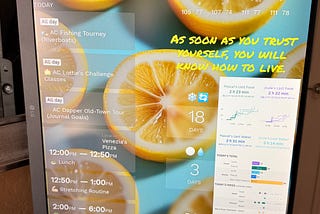 Cat Behavior Analytics in Real Time