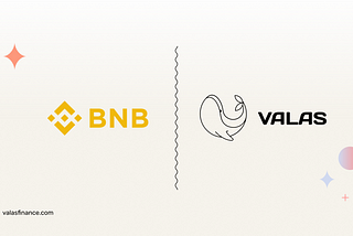 Taking a Look at BNB: An Asset Spotlight for Valas Finance.