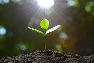Gratitude — A hidden treasure