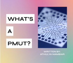 What’s a PMUT?