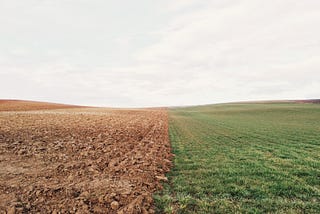 Vers un système alimentaire vert?