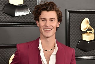 As a Closeted Bisexual, The Gay Jokes About Shawn Mendes Feel Personal