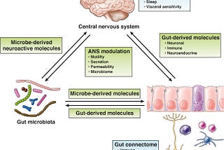 A figure shows the brain-gut-microbiome (BGM) axis, considered a huge advance in medicine.