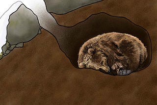 Hibernation as a quick fix to adulthood