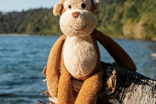 What Psychology Teaches Us About Punch the Monkey, Attachment, Loss, and Adaptation
