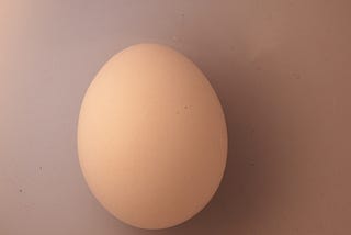 The Egg