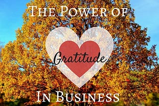 The Power of Gratitude in Business