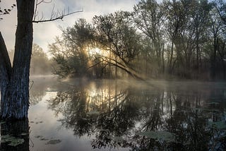 Ethereal — Sunlight through Fog