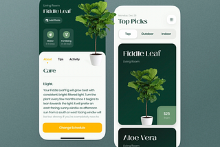 Fiddle leaf product page.