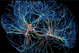 Mapping Minds: Harnessing Neuroimaging for Enhanced Learning