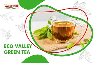 From Leaf to Cup: The Journey of Eco Valley Green Tea
