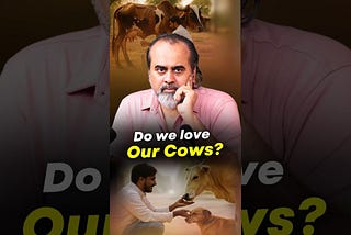 Do We Love Our Cows? || Acharya Prashant