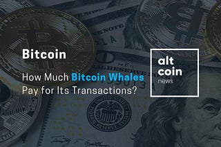 How Much Bitcoin Whales Pay for Its Transactions?