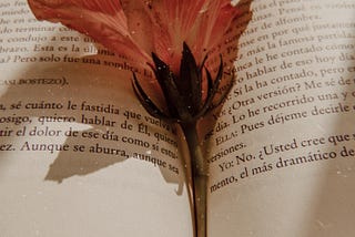 Carta al vientre no sangrante