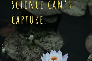 “Spirituality is a space where science can’t capture”.