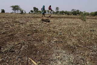 Climate change and its impact on food security