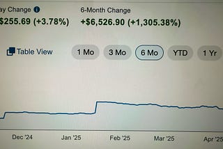 The Stock Market