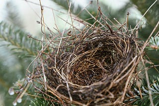 Easing into the Empty Nest