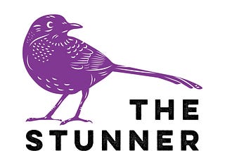 Welcome back to ‘The Stunner’