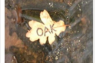 OAK