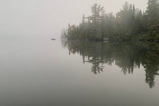 trees in a morning fog in the Boundary Waters