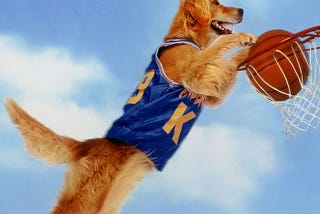 Disney Air Bud 1997 cover image