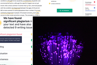 A collage of text that Grammarly identified as plagiarism