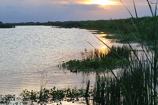 waterway with sunset in the background and swamp grasses in the foreground