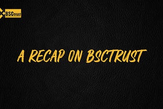 A summary of bsctrust network….