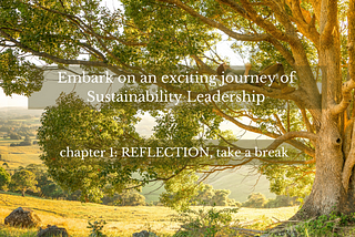 Embark on an exciting journey for sustainability leadership | chapter 3: REFLECTION, take a break