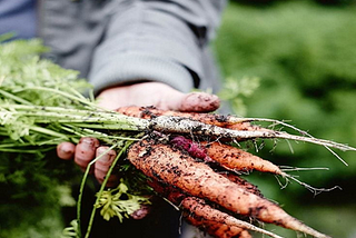 The organic way of living in a post-pandemic world
