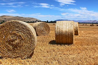 Invest Like a Farmer: the surprising similarities between how farmers and venture capitalists think