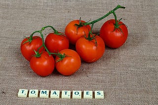 Ripe, red tomatoes against a canvas background; Scrabble tiles spell out “Tomatoes”