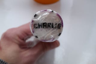 A stick of rock with the name Charlie in the middle