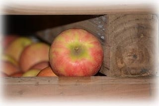 Controlled Atmosphere Rooms for Apples and Pears