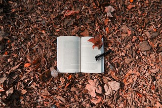 On Writing A Novel