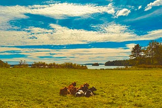 From Regenerative Complexity to Climate-Smart Farming